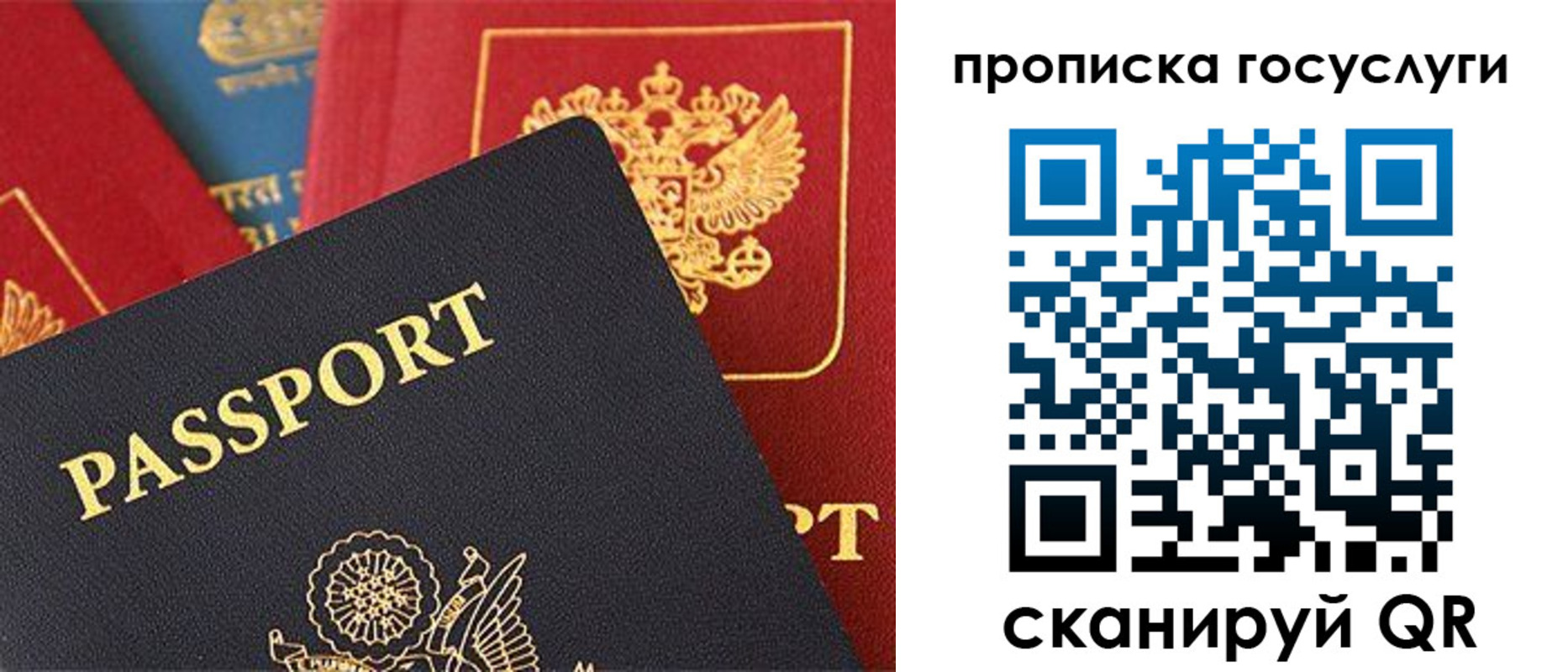 где прописаться в Светлограде